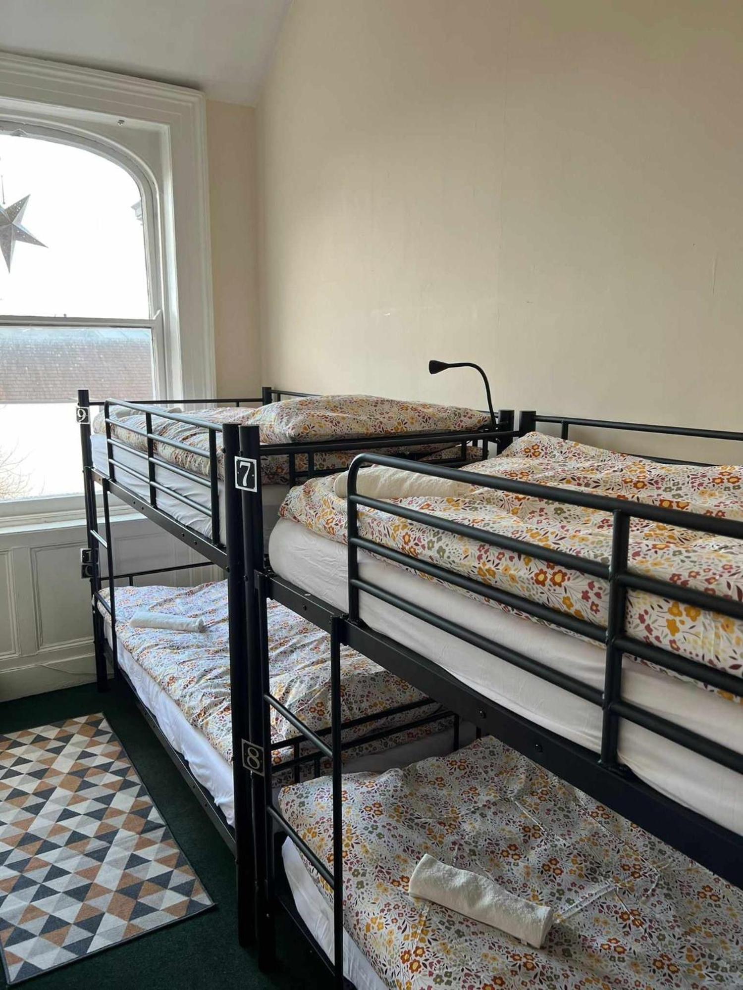 Botanic Avenue Hostel Less Than A Mile From The City Centre بلفاست المظهر الخارجي الصورة