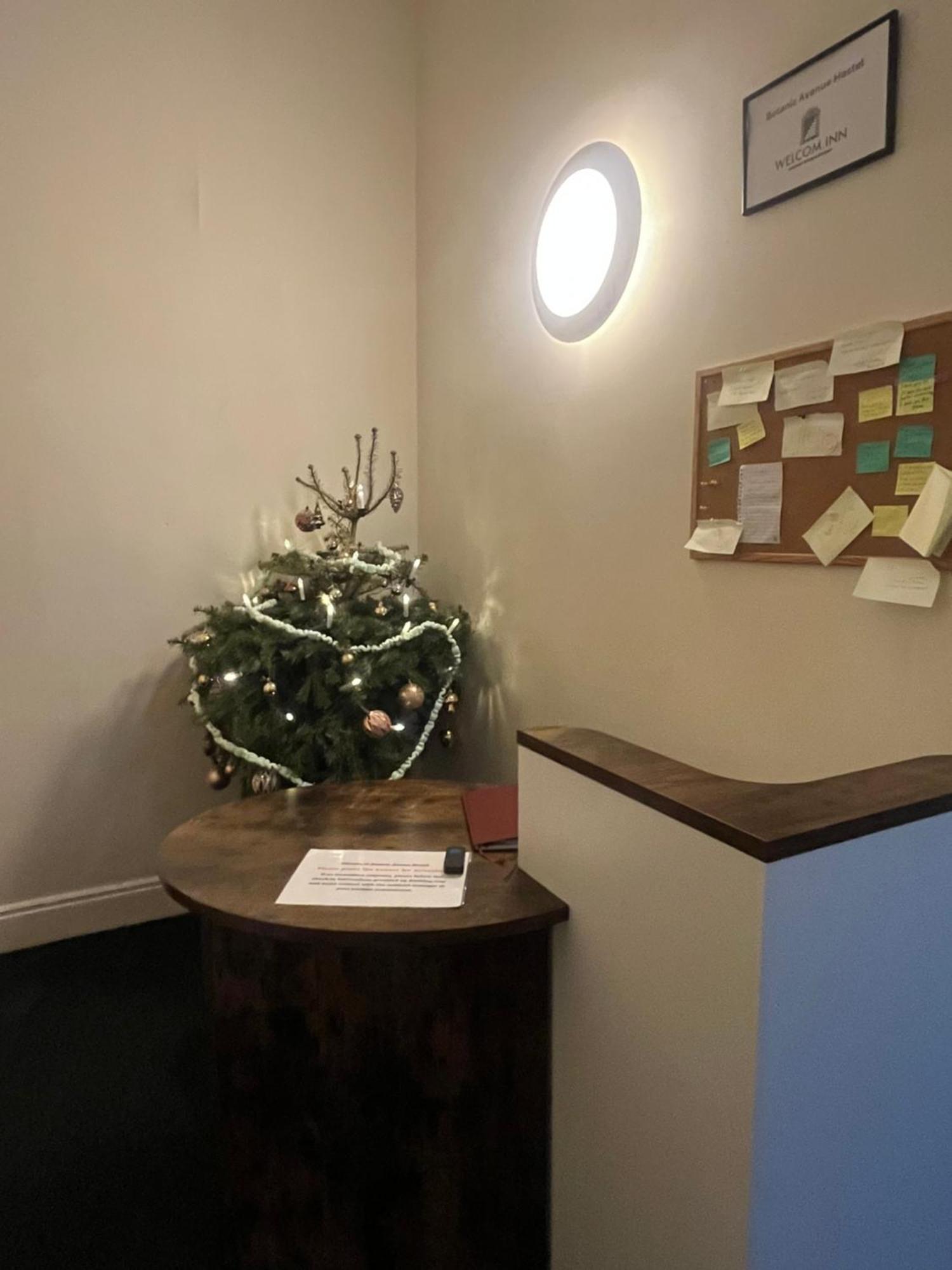 Botanic Avenue Hostel Less Than A Mile From The City Centre بلفاست المظهر الخارجي الصورة